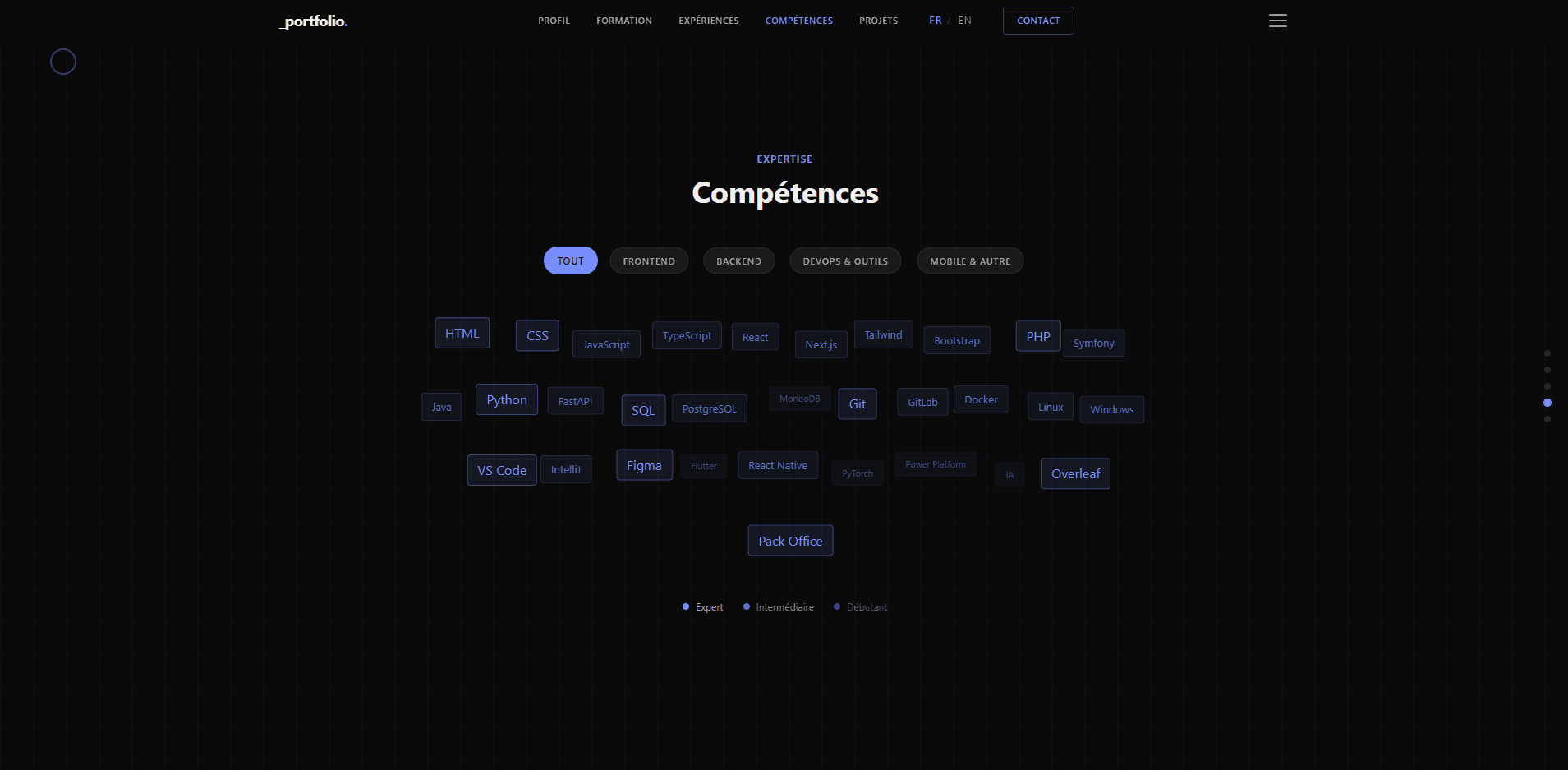 Portfolio — Section compétence.